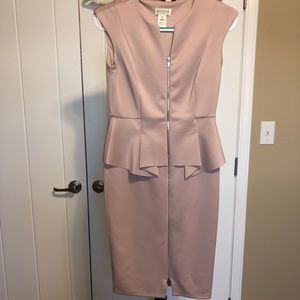 Enfocus Studio Peplum Dress